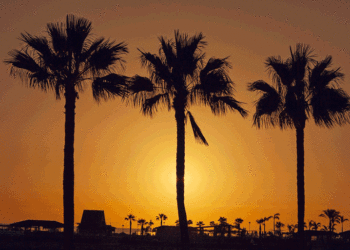 Volta Int.: “Ilhas Canárias eleitas como local de excelência no combate às alterações climáticas”