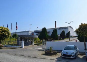 Lusotufo: Uma referência no mercado das alcatifas e tapetes