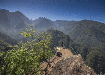 Madeira distinguida pelo Tripadvisor como um dos destinos mais populares da Europa