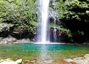 Solférias reforça Experiências na Madeira com nova campanha