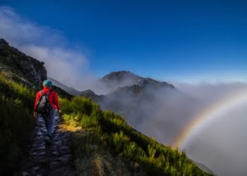 Lusanova com novidades na programação para este verão