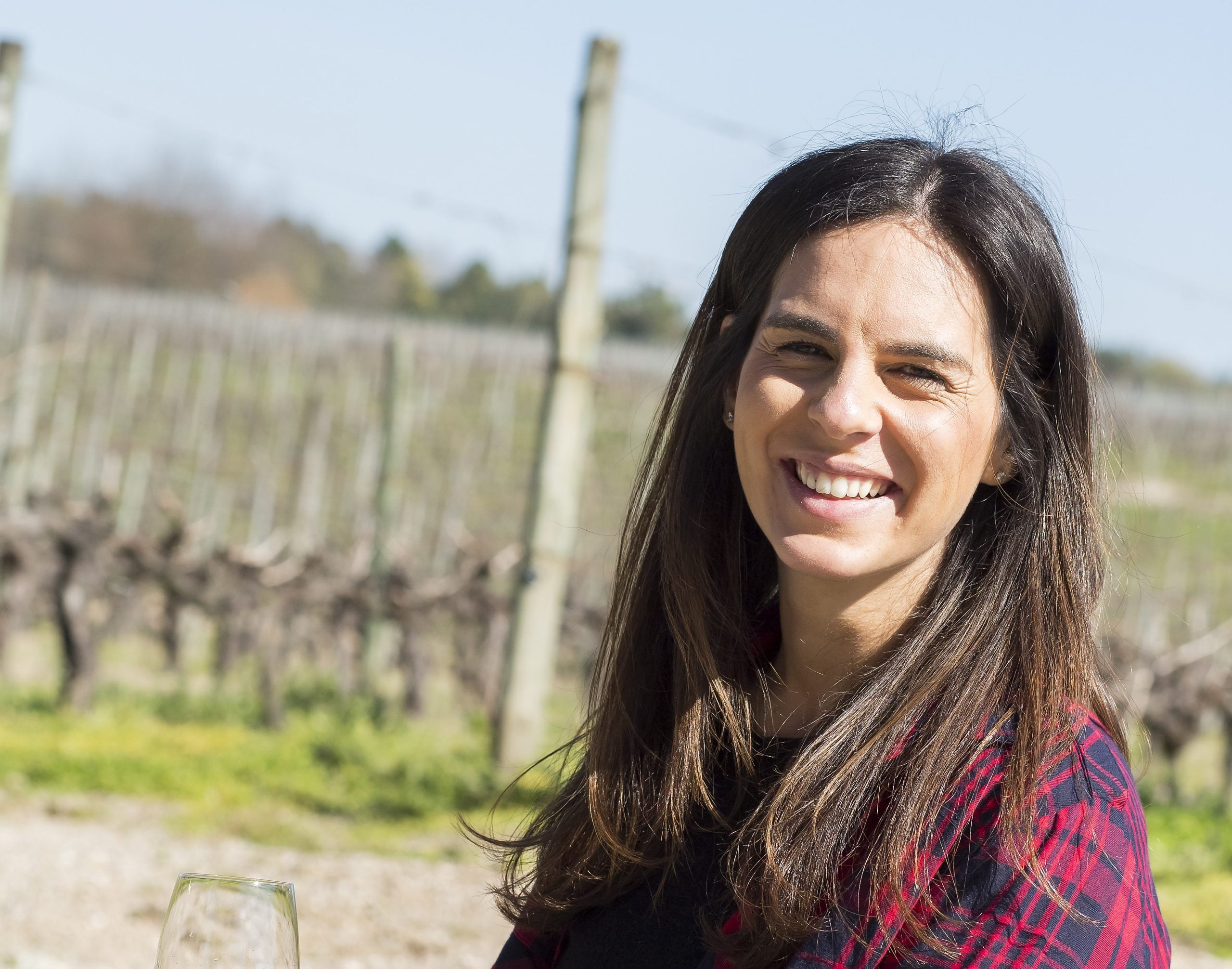 Mafalda Guedes, Sogrape Vinhos