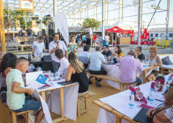 Comissão Vitivinícola do Algarve: Aposta na certificação e controlo de qualidade