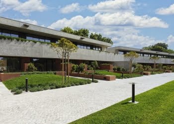 Montebelo Vista Alegre Ílhavo Hotel é dog-friendly