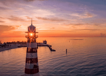 MSC Cruzeiros releva novas experiências na Ocean Cay MSC Marine Reserve a partir de novembro