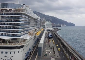 Porto do Funchal recupera liderança nacional