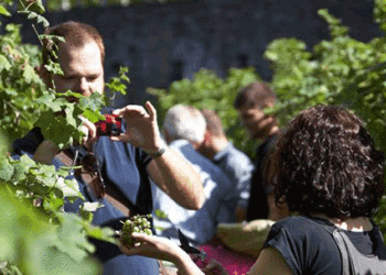 Hotéis PortoBay no Funchal promovem a tradição vínica regional