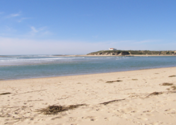 Volta Int: “BSP das agências portuguesas caiu 5%”