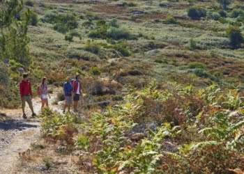 Algarve lança Observatório para o Turismo Sustentável