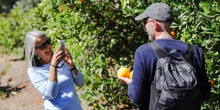À descoberta do Algarve em setembro
