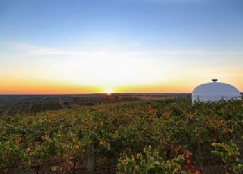 5ª Conferência Mundial da OMT debate enoturismo no Alentejo sem setembro