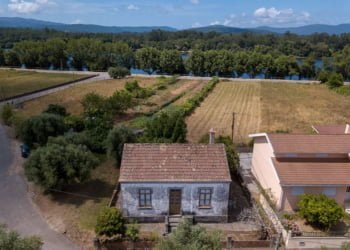 Revive Natureza recebe perto de 100 manifestações de interesse em menos de 30 dias