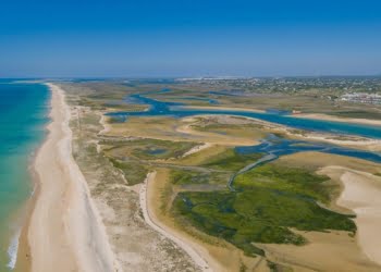 Turismo do Algarve convida a descobrir três áreas protegidas da região