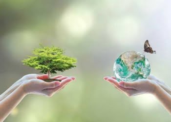 Stay Hotels substitui garrafas de plástico por água embalada em cartão