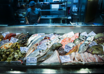 Vasco Lello é o novo chef do Sea Me – Peixaria Moderna