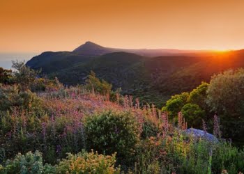Natureza: Arrábida Walking Festival