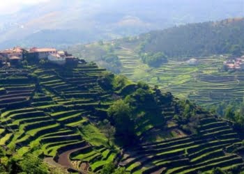 Arcos de Valdevez inicia classificação de Sistelo como Paisagem Cultural