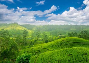 Solférias à descoberta do Sri Lanka desde 1989€