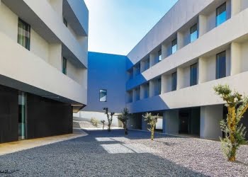 Stay Hotels recebe declaração oficial de pegada de carbono evitada