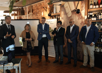 StayOver Fátima-Tomar quer mostrar encantos do Médio Tejo