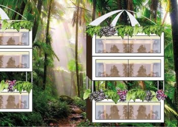 Jovem de 19 anos vence concurso internacional #NextDisruptor promovido pela Les Roches