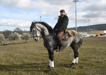Macedo de Cavaleiros promove Seminário Internacional sobre Turismo de Interior
