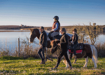 Reportagem: Um roteiro em família pelo país