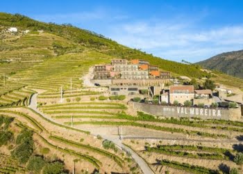 Vila Galé sugere experimentar vindimas no Douro e no Alentejo