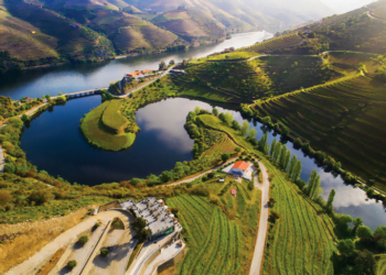 Vila Galé lanças novas rotas de enoturismo no Douro