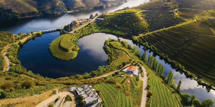 Vila Galé lanças novas rotas de enoturismo no Douro