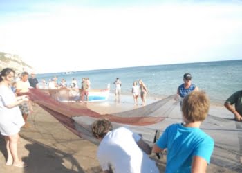 Turistas vão poder participar na Arte Xávega em Sesimbra