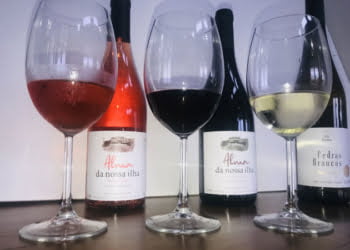 Adega Cooperativa Agrícola da Ilha Graciosa – Vinhos de qualidade com o selo Marca Açores