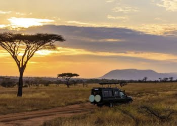 Solférias com novo destino na sua programação: África do Sul