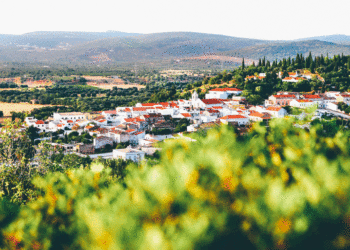 Algarve regista 30,3% de taxa de ocupação em outubro