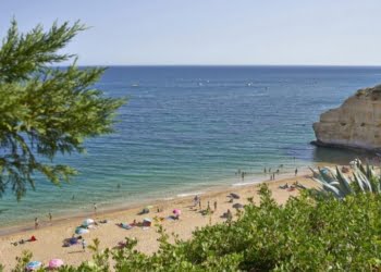 AHETA: taxa de ocupação em janeiro inalterada face a igual mês de 2018