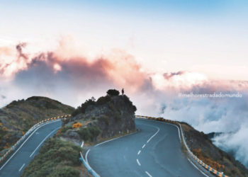 Avis e Budget lançam novos sites de leasing