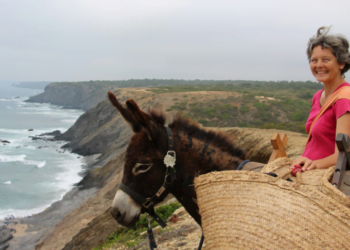 Airbnb lança nova categoria de Experiências com animais