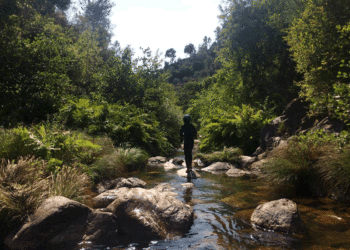 Origem Safaris: Um contacto genuíno com a natureza e cultura da Serra do Açor