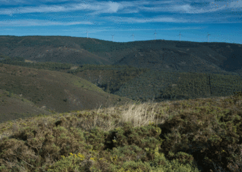 Turismo do Centro e do Norte avançam com projeto transfronteiriço “Três Regiões, Dois Países, Um Destino Turístico”