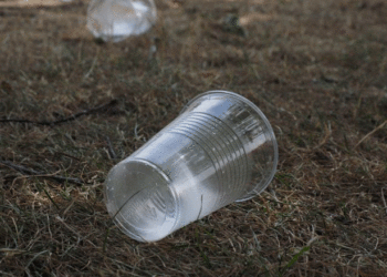 Descartáveis vão poder continuar a ser usados nos restaurantes até 31 de março de 2021