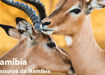 TUI Portugal promove o destino Namíbia a partir de 2.817€