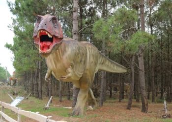 Lourinhã – Uma terra de pegadas com história