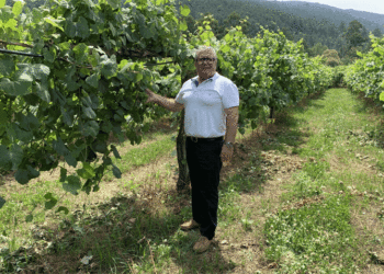 Vinalda reforça portefólio com mais um produtor de vinhos