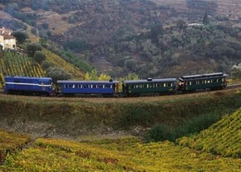 Meetings from Douro – Magellan World: O projeto que aposta num Douro cada vez mais mundial