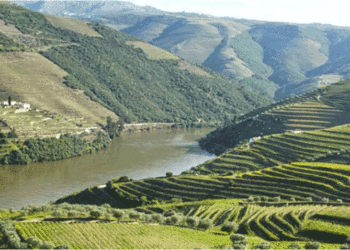 Vinhos do Douro e Porto reforçam promoção em 2021