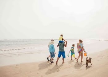 eDreams: 55% dos portugueses gostaria de viajar com os seus animais de estimação