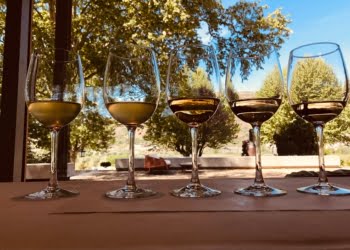 Turismo do Porto e Norte realiza primeira ação internacional de promoção da Rota dos Vinhos e do Enoturismo