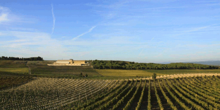 Turismo de Portugal apoia com 630 mil euros  projeto de enoturismo na região Centro