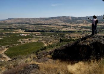 Reportagem: A força do enoturismo de norte a sul de Portugal