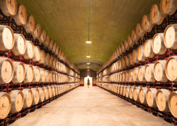 Associação Portuguesa de Enoturismo avança oito medidas de apoio ao setor em resposta à pandemia